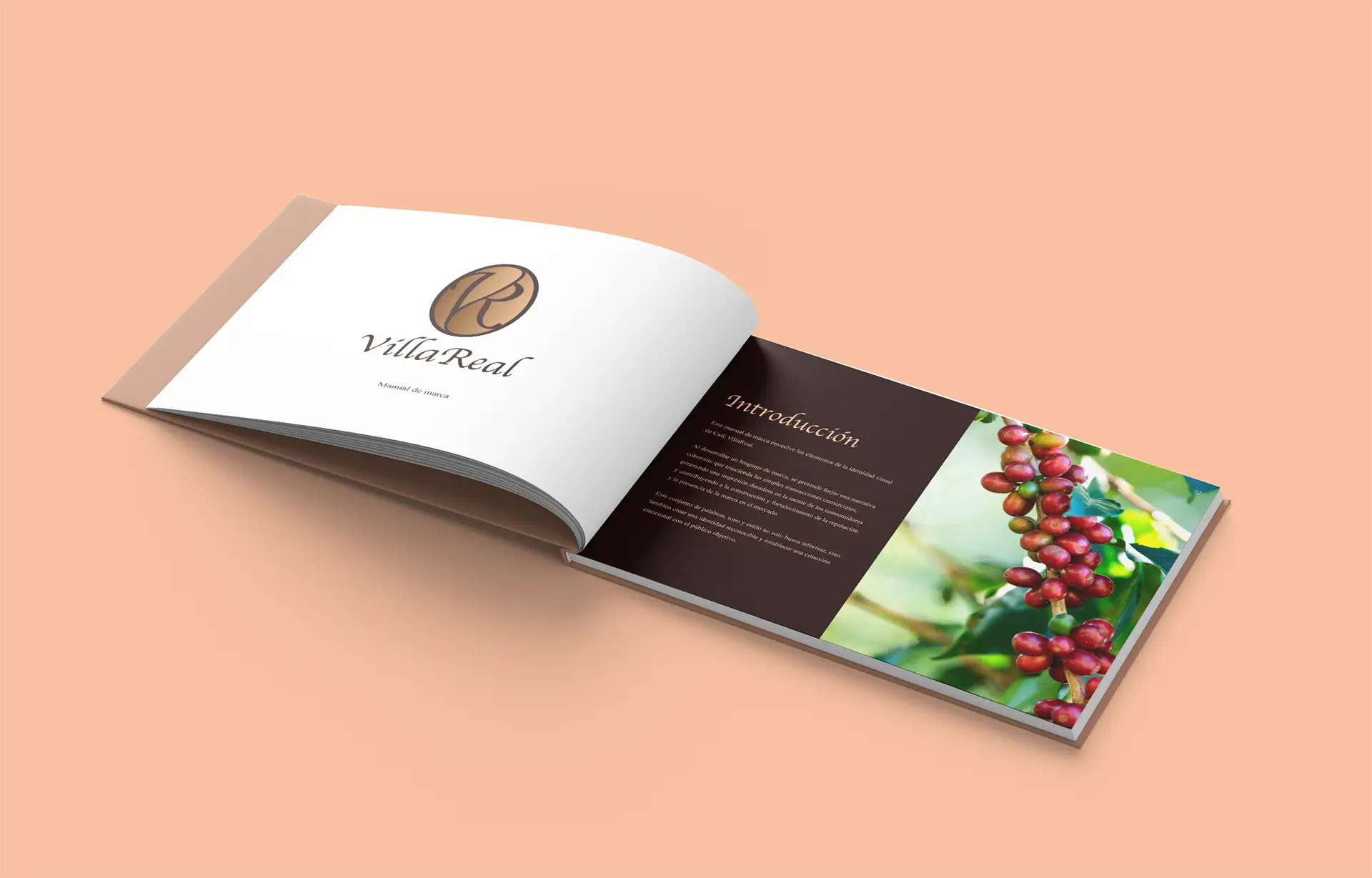 Manual de Marca Café Villareal